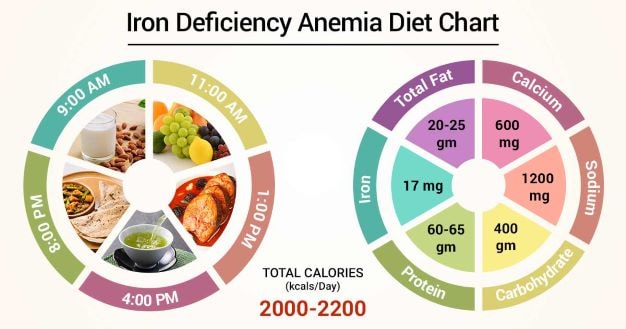 Iron Deficiency Anemia Diet